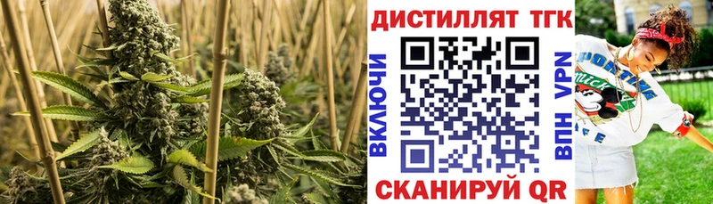 Купить закладки  Омутнинск  ТГК Wax 