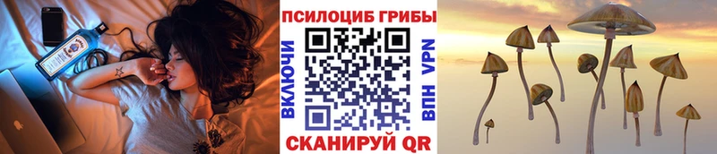 Псилоцибиновые грибы ЛСД Омутнинск